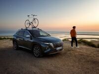 Side trim line, brushed aluminium optic, Tucson NX4