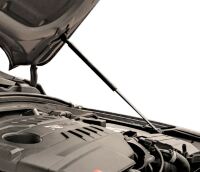 Bonnet damper 2-piece, i30N / i30 PD / i30 PD Facelift