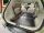 trunk liner extension, INSTER