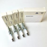 Satz Zündkerzen i20N Performance