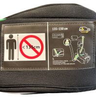 Hyundai booster seat