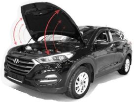 Motorhaubendämpfer 2-teilig, Tucson TLE / TL